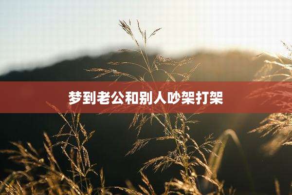 梦到老公和别人吵架打架