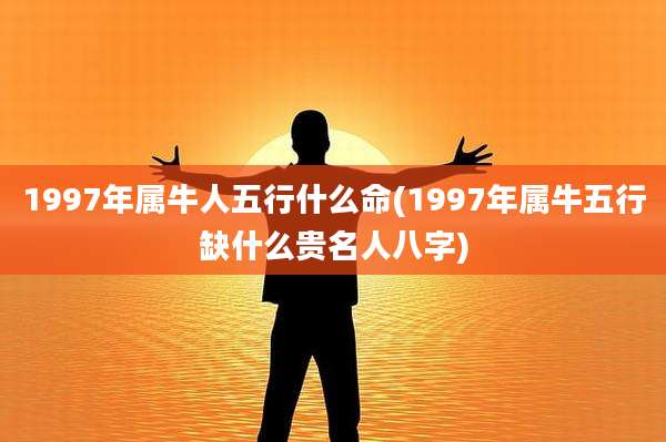 1997年属牛人五行什么命(1997年属牛五行缺什么贵名人八字)