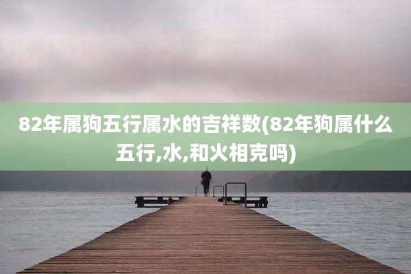 82年属狗五行属水的吉祥数(82年狗属什么五行,水,和火相克吗)