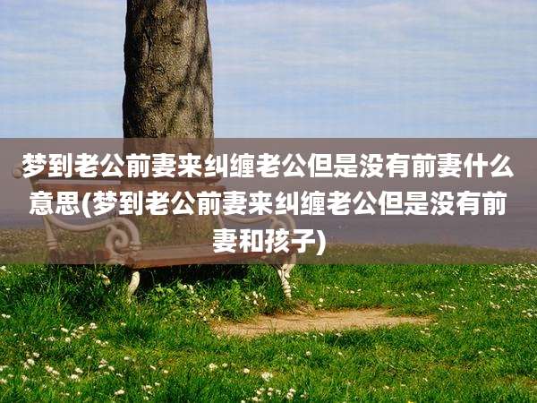 梦到老公前妻来纠缠老公但是没有前妻什么意思(梦到老公前妻来纠缠老公但是没有前妻和孩子)