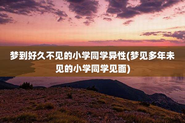 梦到好久不见的小学同学异性(梦见多年未见的小学同学见面)