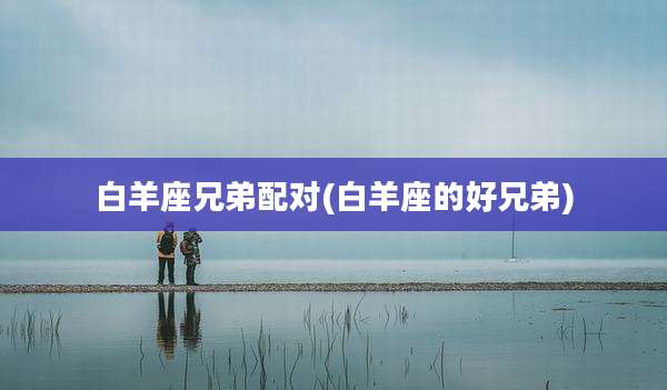 白羊座兄弟配对(白羊座的好兄弟)