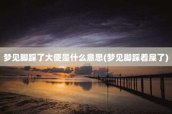 梦见脚踩了大便是什么意思(梦见脚踩着屎了)