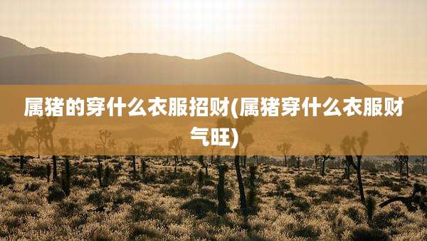 属猪的穿什么衣服招财(属猪穿什么衣服财气旺)