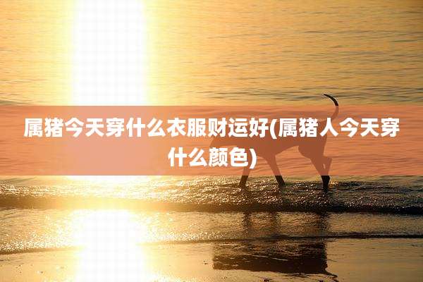 属猪今天穿什么衣服财运好(属猪人今天穿什么颜色)