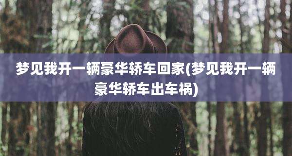 梦见我开一辆豪华轿车回家(梦见我开一辆豪华轿车出车祸)