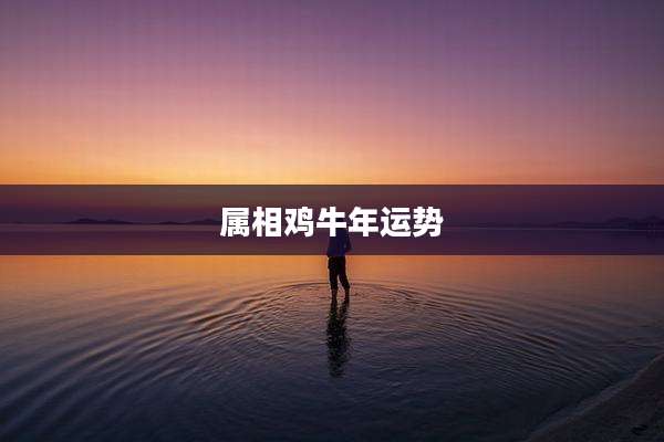 属相鸡牛年运势