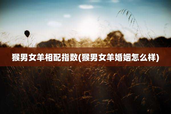 猴男女羊相配指数(猴男女羊婚姻怎么样)