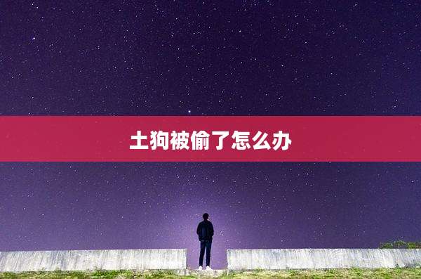 土狗被偷了怎么办
