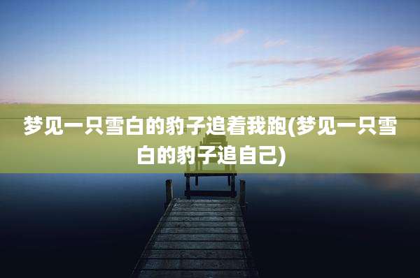 梦见一只雪白的豹子追着我跑(梦见一只雪白的豹子追自己)