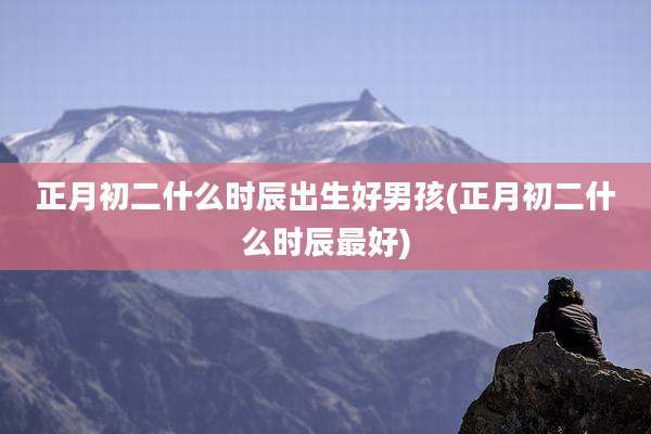 正月初二什么时辰出生好男孩(正月初二什么时辰最好)
