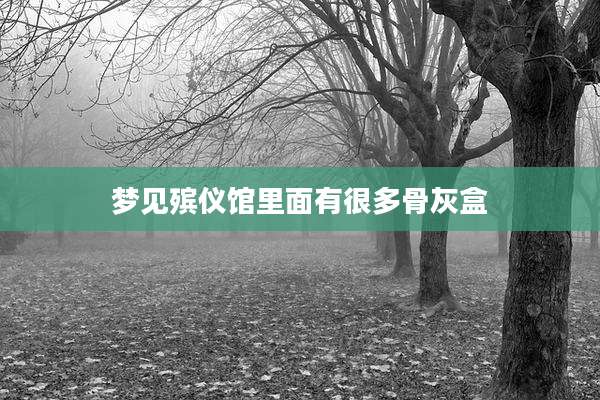 梦见殡仪馆里面有很多骨灰盒