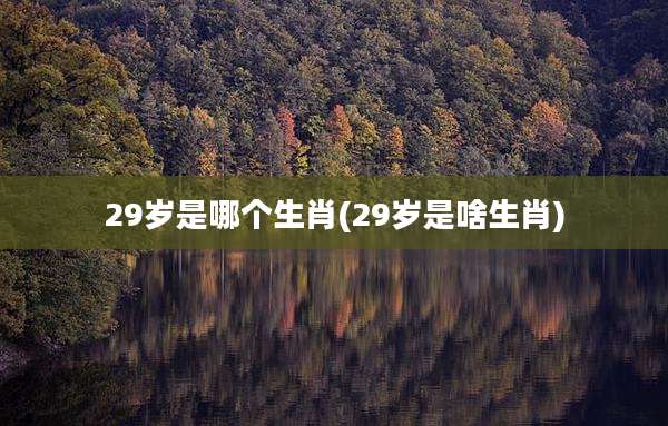 29岁是哪个生肖(29岁是啥生肖)