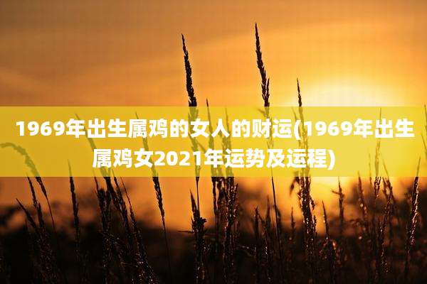 1969年出生属鸡的女人的财运(1969年出生属鸡女2021年运势及运程)