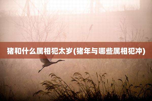 猪和什么属相犯太岁(猪年与哪些属相犯冲)