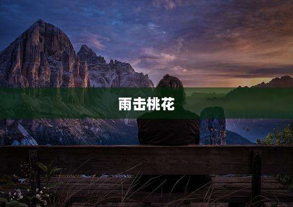 雨击桃花