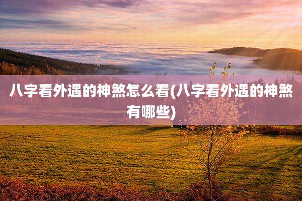 八字看外遇的神煞怎么看(八字看外遇的神煞有哪些)