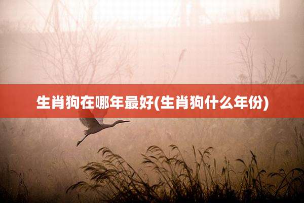 生肖狗在哪年最好(生肖狗什么年份)