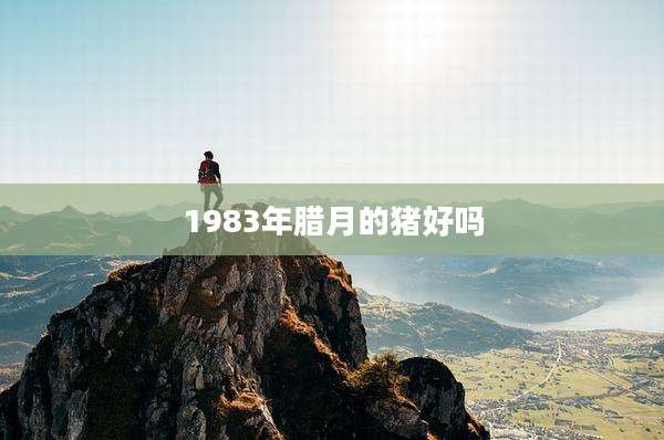 1983年腊月的猪好吗