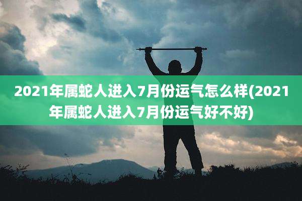 2021年属蛇人进入7月份运气怎么样(2021年属蛇人进入7月份运气好不好)