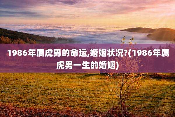 1986年属虎男的命运,婚姻状况?(1986年属虎男一生的婚姻)