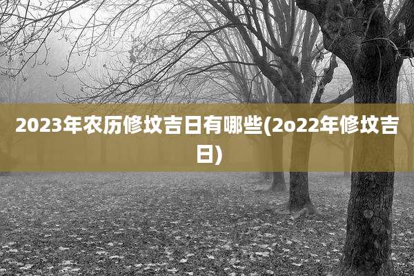 2023年农历修坟吉日有哪些(2o22年修坟吉日)