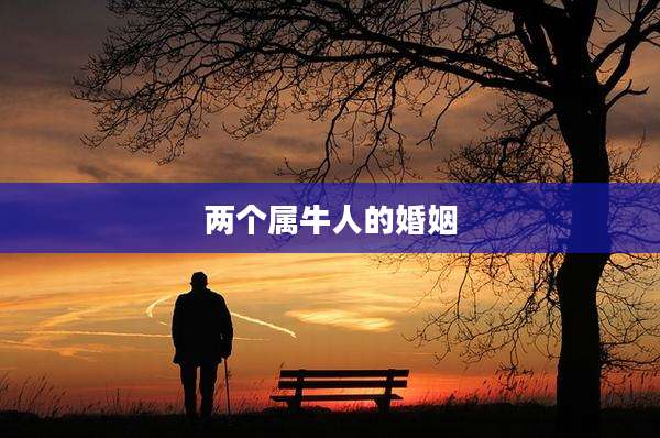 两个属牛人的婚姻