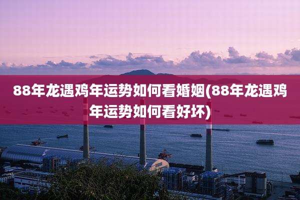 88年龙遇鸡年运势如何看婚姻(88年龙遇鸡年运势如何看好坏)