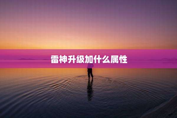 雷神升级加什么属性
