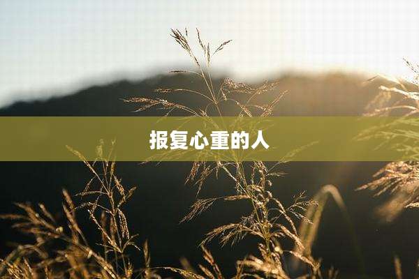 报复心重的人