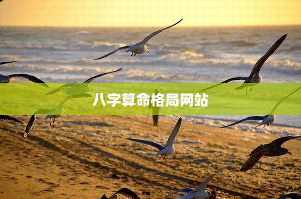 八字算命格局网站