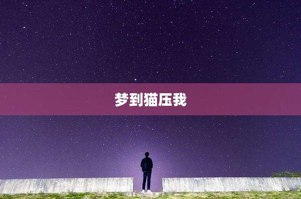 梦到猫压我