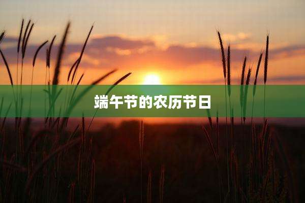 端午节的农历节日