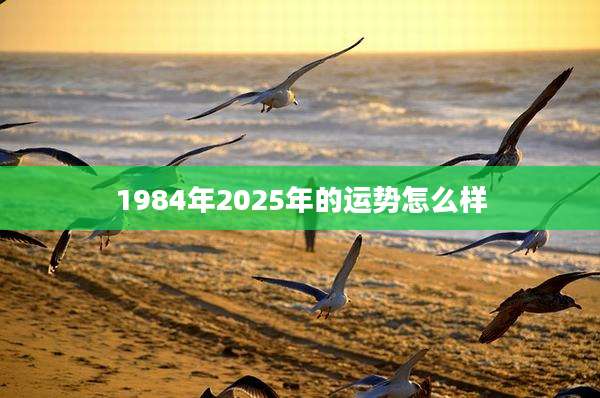 1984年2025年的运势怎么样