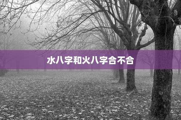 水八字和火八字合不合