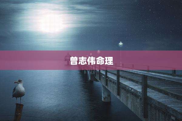 曾志伟命理