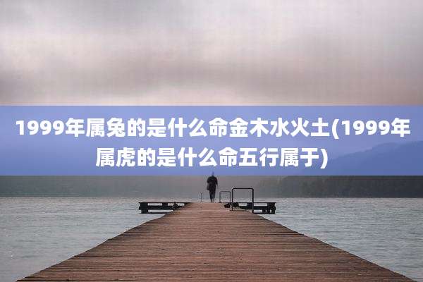 1999年属兔的是什么命金木水火土(1999年属虎的是什么命五行属于)