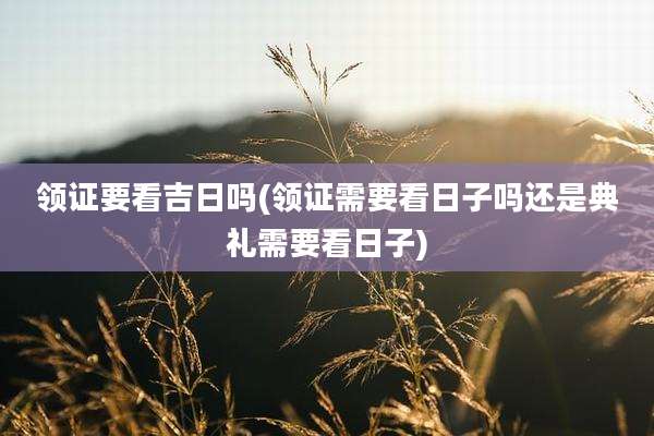 领证要看吉日吗(领证需要看日子吗还是典礼需要看日子)