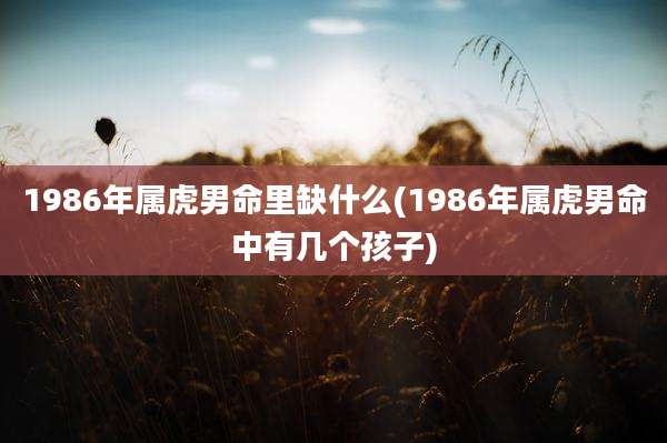 1986年属虎男命里缺什么(1986年属虎男命中有几个孩子)