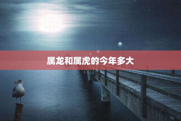 属龙和属虎的今年多大