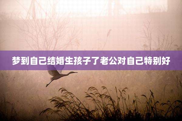 梦到自己结婚生孩子了老公对自己特别好