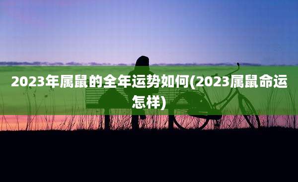 2023年属鼠的全年运势如何(2023属鼠命运怎样)