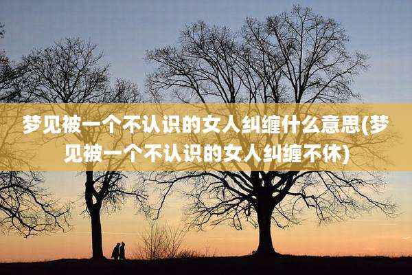 梦见被一个不认识的女人纠缠什么意思(梦见被一个不认识的女人纠缠不休)