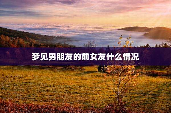 梦见男朋友的前女友什么情况