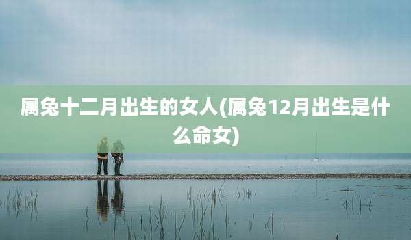 属兔十二月出生的女人(属兔12月出生是什么命女)