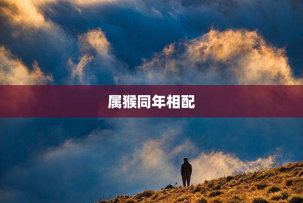 属猴同年相配