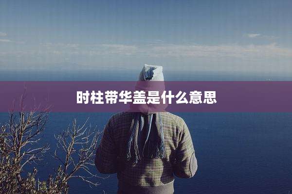 时柱带华盖是什么意思