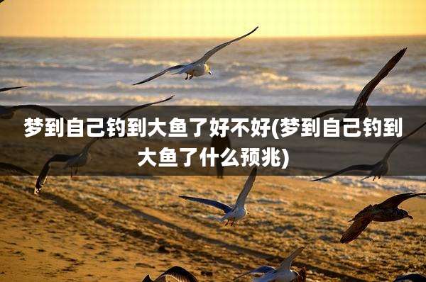 梦到自己钓到大鱼了好不好(梦到自己钓到大鱼了什么预兆)