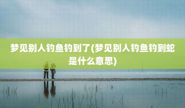 梦见别人钓鱼钓到了(梦见别人钓鱼钓到蛇是什么意思)