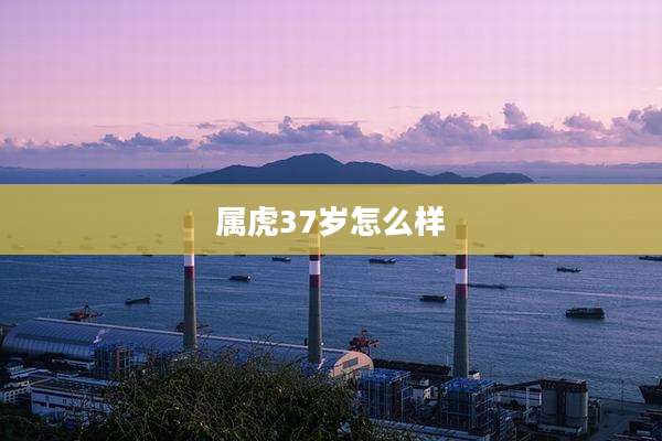 属虎37岁怎么样